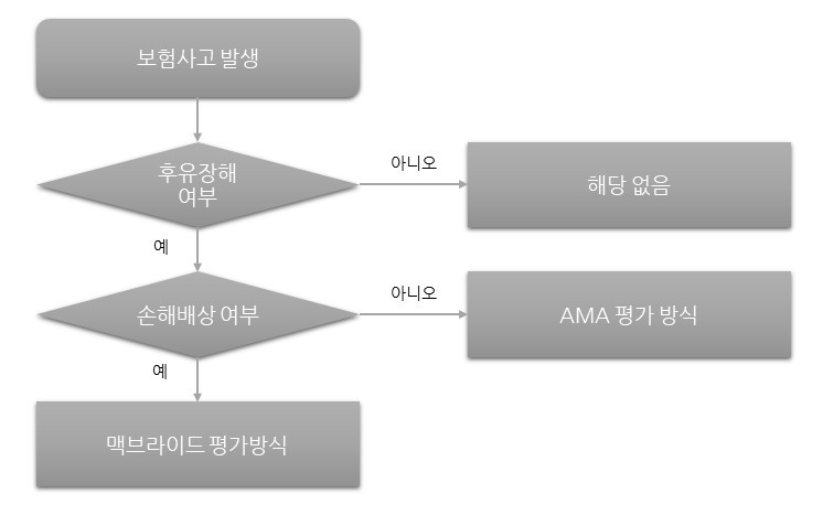 맥브라이드 장해평가-이미지2
